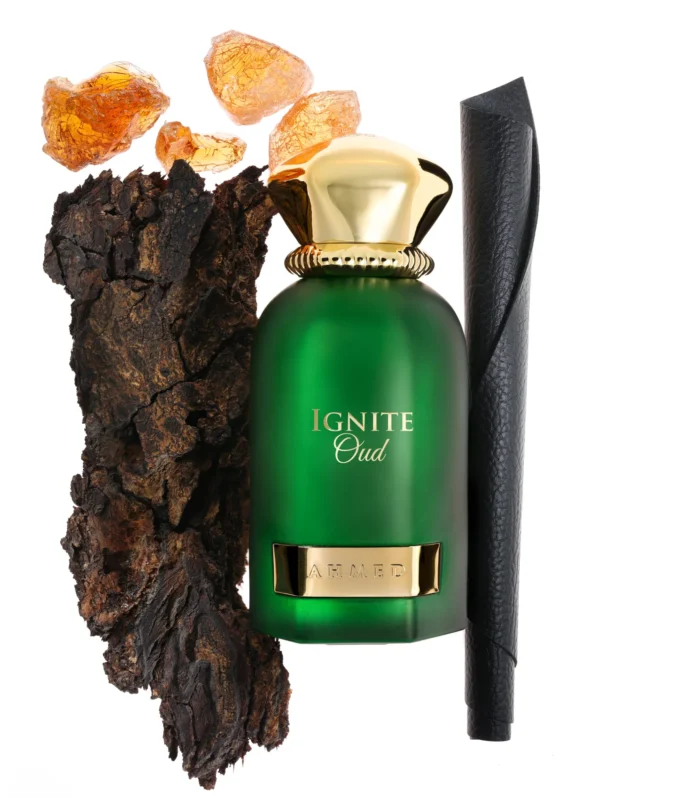 Ahmed Al Maghribi - Ignite Oud